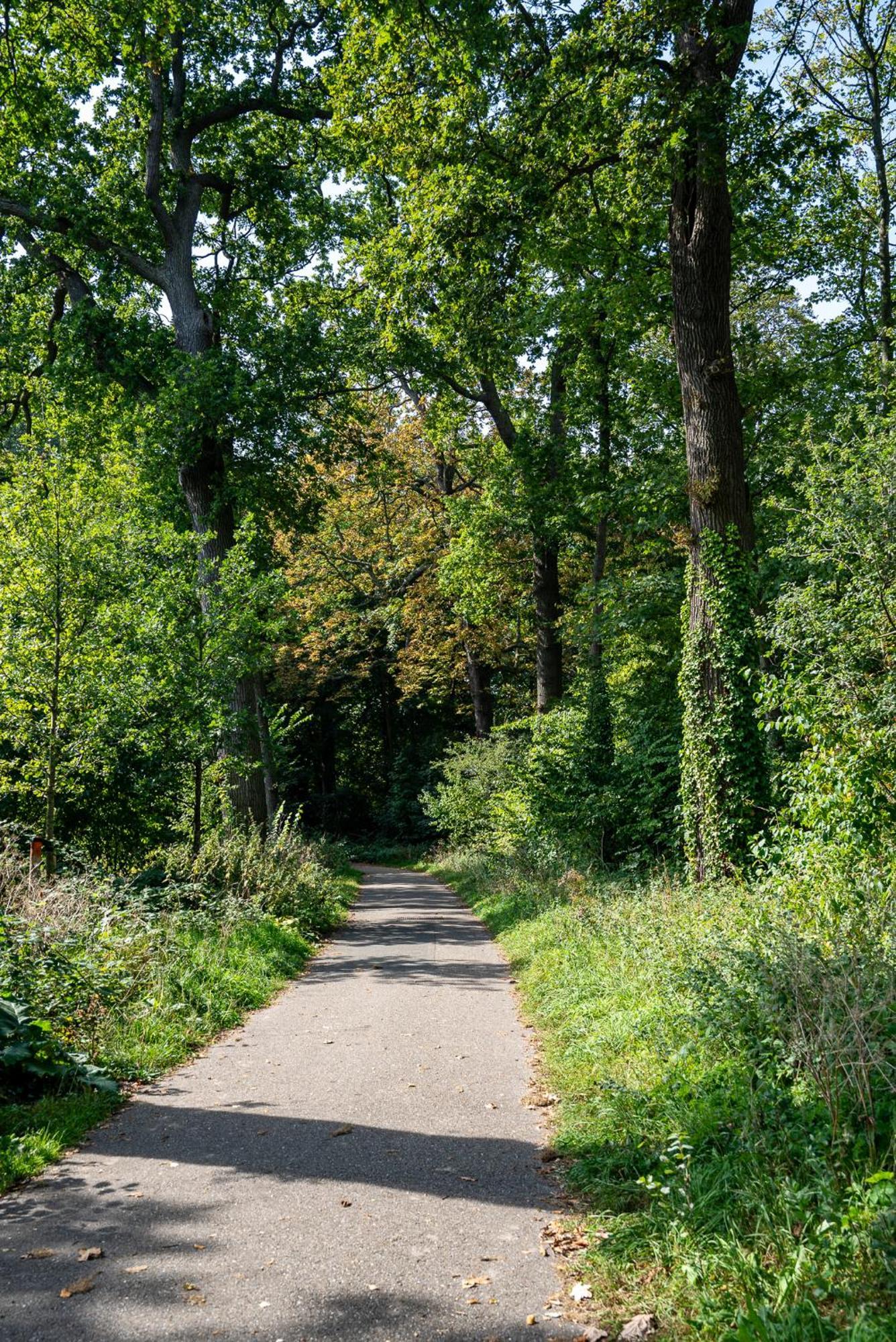 Hotel Hoevevoorde Rijswijk Dış mekan fotoğraf